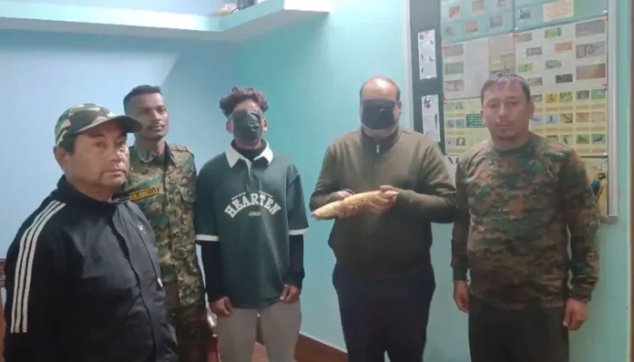 Forest department arrested two traffickers.